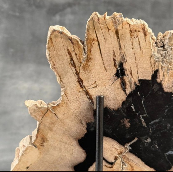 Image 1 of Madera fosilizada de Sooka, soporte hecho a medida (nuevo)