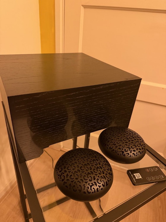 Marcel Wanders Holland Electro Pandora – Decorative Objects, Plastic, Wood (photo 2 of 16)