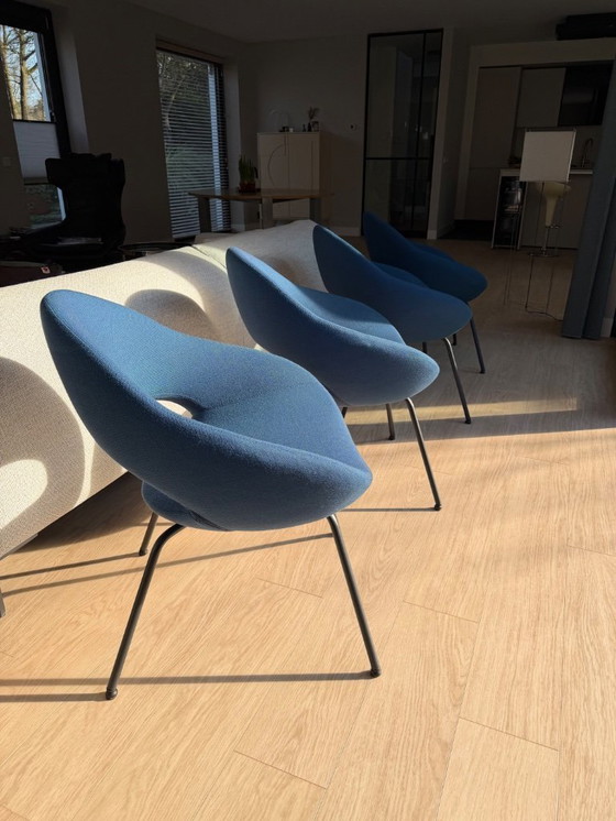 Image 1 of 4 beautiful Artifort Shark dining chairs!