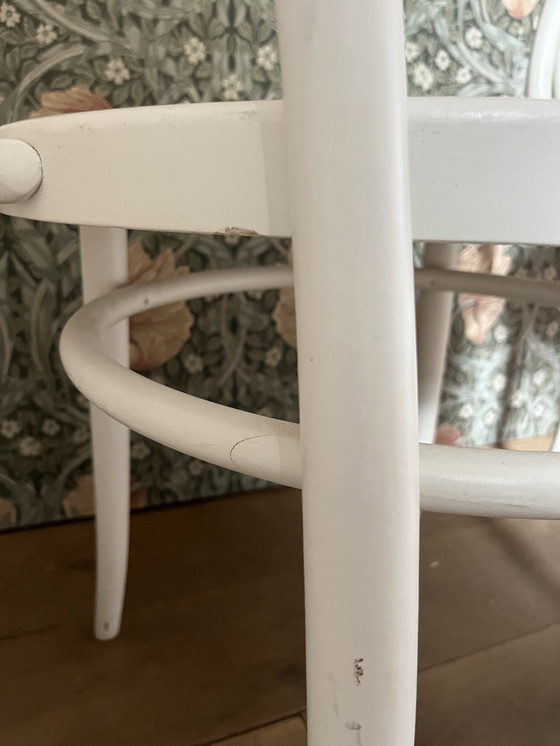 Image 1 of 2 Vintage Thonet stoelen – Model No. 204/ Vienna – Wit