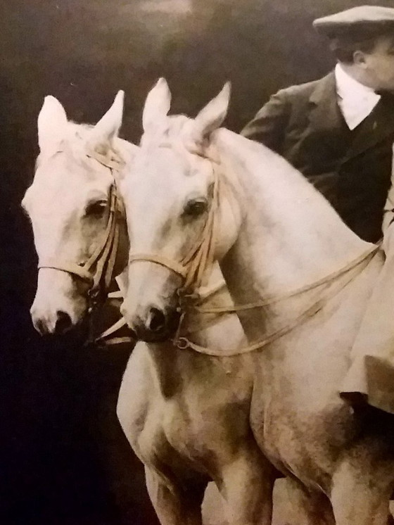 Image 1 of Reiterporträt 1910