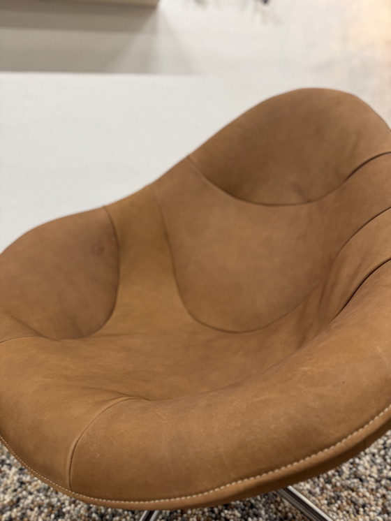 Image 1 of Label van den Berg Hidde Fauteuils Waterbuffel Cognac 