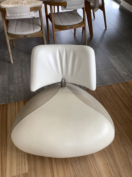 Image 1 of Pallone Leolux