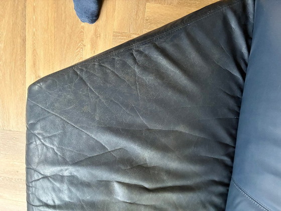 Image 1 of Leolux Pupillia