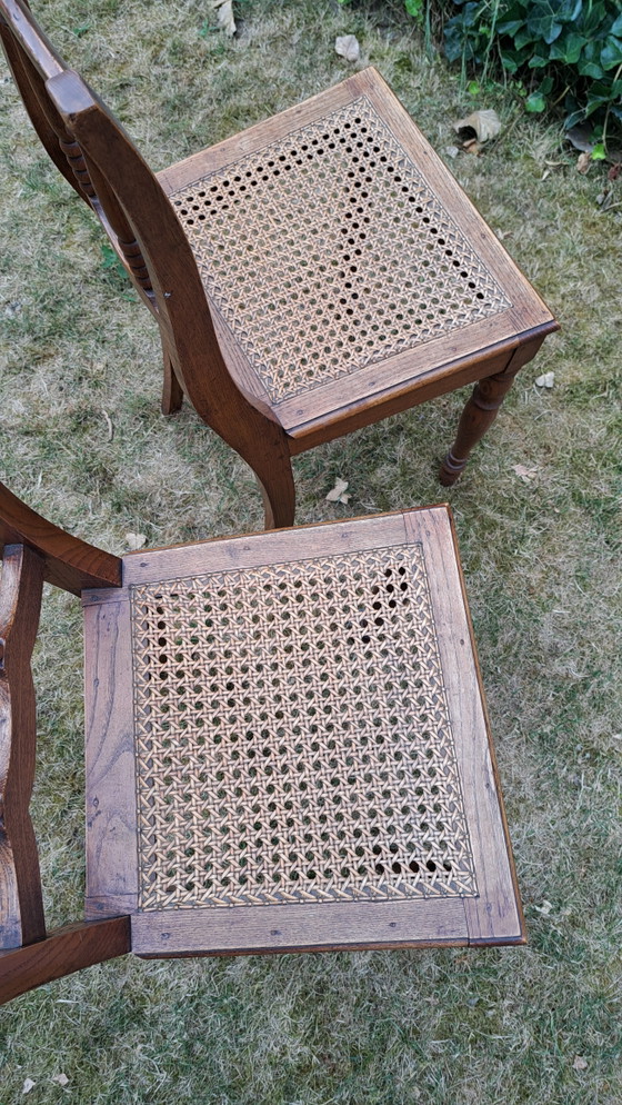 2 sillas de comedor antiguas de madera estilo Biedermeier con correas. – Rattan, Wood (photo 6 of 6)
