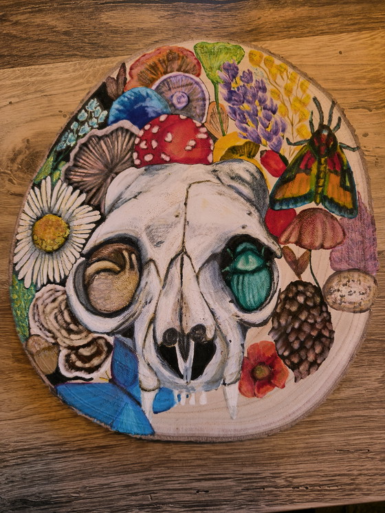Image 1 of Disco de madera de tronco de árbol con pintura: calavera y naturaleza: setas, insectos