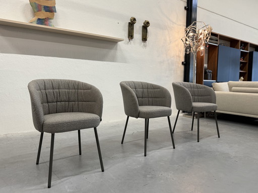 4 Rolf Benz Noa Esszimmerstühle Stoff
