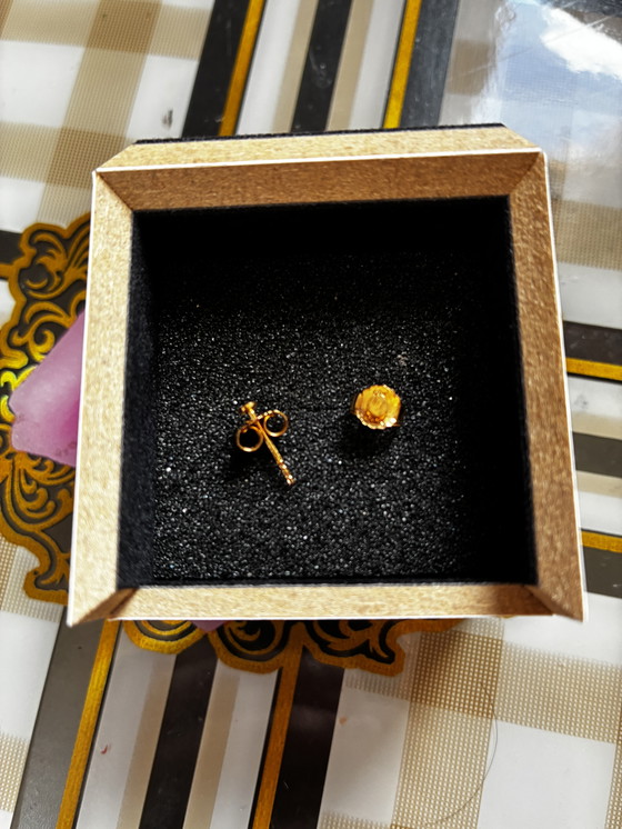 Image 1 of VanRycke Oorbellen