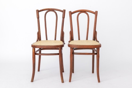 Antiker Bugholzstuhl im Stil von Thonet Nr. 56 | Österreichischer Rattanstuhl | 1930er Jahre (photo 11 of 13)