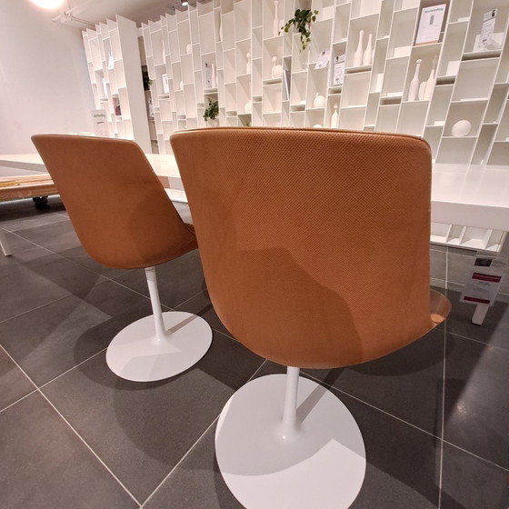 Image 1 of MDF Italia Flow Chair dining chair (set of 4)