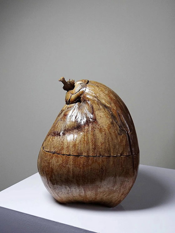 Scatola curiosa vintage anni '50-'60, secchiello per ghiaccio in cocco naturalizzato., Accessori da tavola (foto 14 di 14)