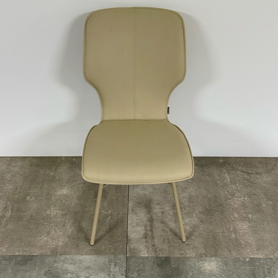 Image 1 of Nevio  Set van 6