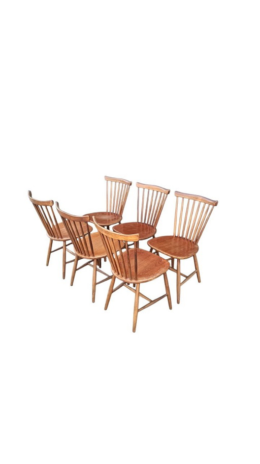 C. Braakman pour Pastoe, Chaises de salle à manger