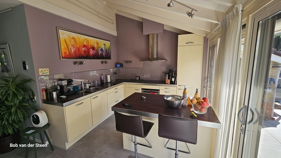 Image 1 of Sedie da bar Cattelan come nuove