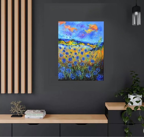 Image 1 of Cornflowers 97