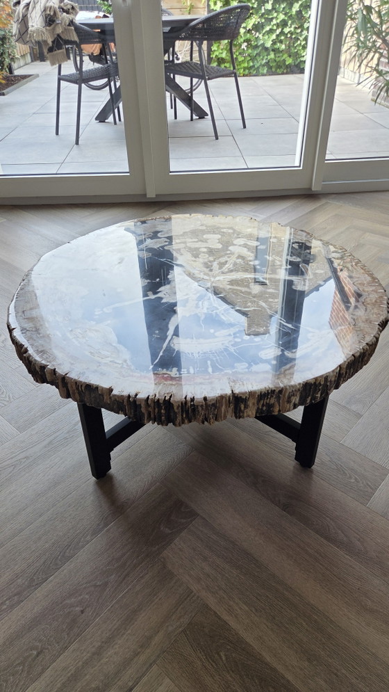 Versteinerter Baumstamm Couchtisch!!! – Couchtische, Metal, Stone (photo 5 of 8)