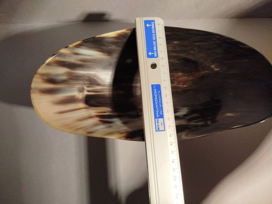 Image 1 of Contemporary Buffalo Horn Centerpiece by OLTRE FRONTIERA