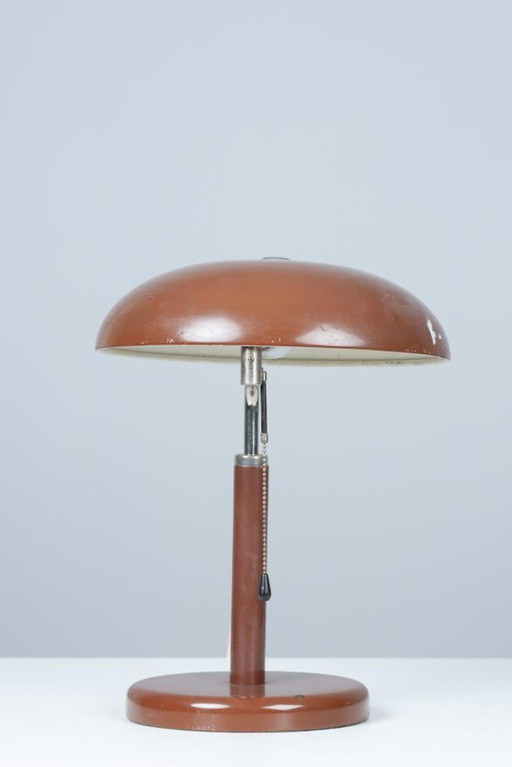 Muller lamp