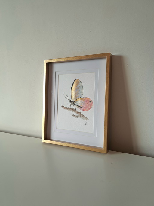 Watercolor painting Blushing Phantom Butterfly in gold-colored frame