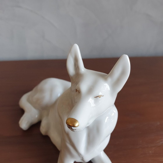 Image 1 of Cane da pastore in porcellana vintage di Hollohaza dall'Ungheria, anni '60