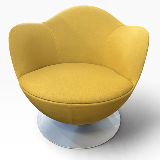 Cappellini Dali Marcel Wanders refurbished I – Poltrone, Metallo, Tessile (photo 2 of 7)
