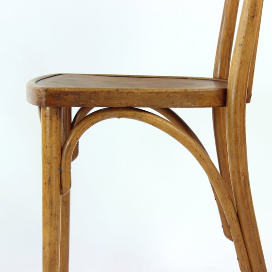 Image 1 of Vintage Thonet Bentwood Eiken Stoel Met Origineel Etiket, Tsjecho-Slowakije, jaren 1920