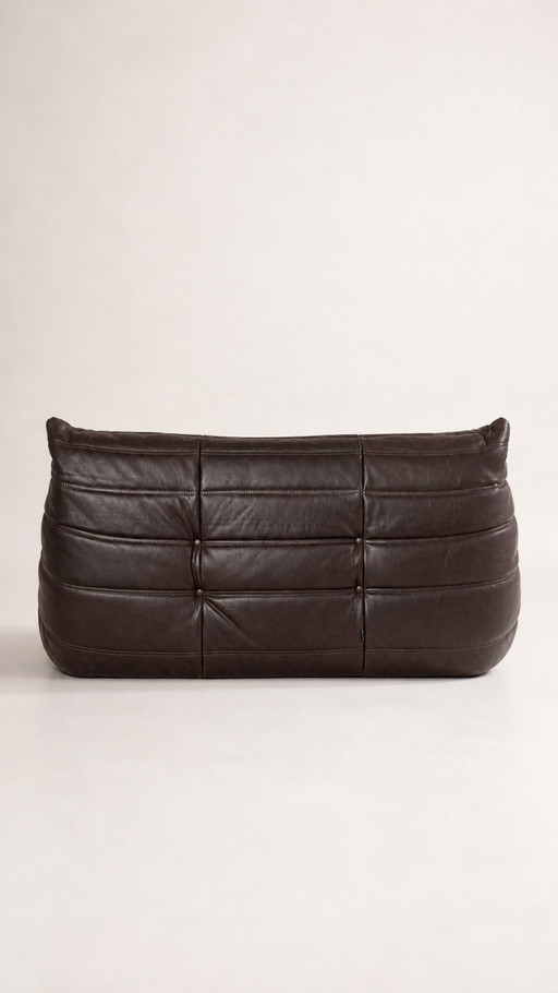 Michel Ducaroy / Ligne Roset 2-zitsbank in bruin leer