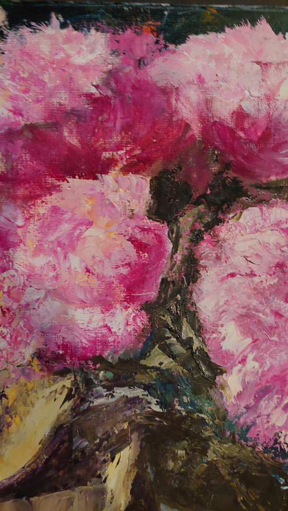 Image 1 of Peonies