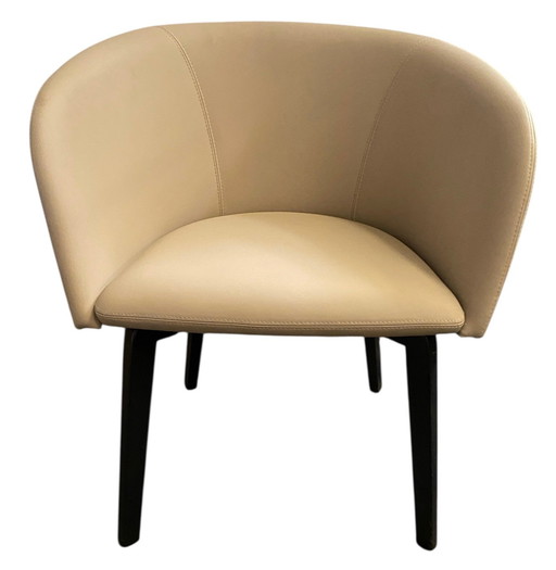 6x Fauteuil NowyStyl Nauda. Nouveau.