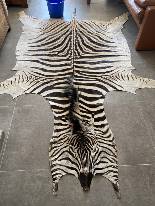 Zebrahaut