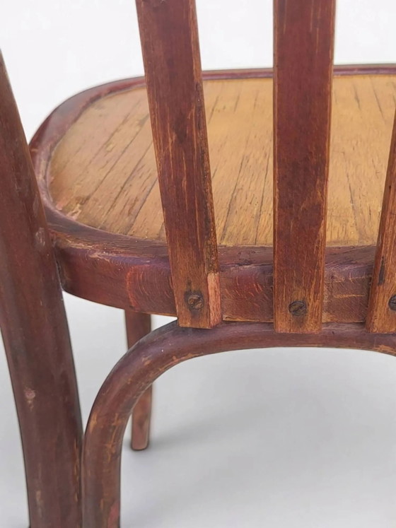 Sedia da bistrò in legno curvato – Sedie da pranzo, Wood (photo 6 of 15)