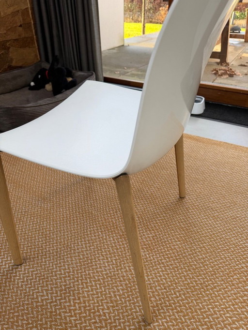 6x Arper Catifa 53 chair white with oak legs
