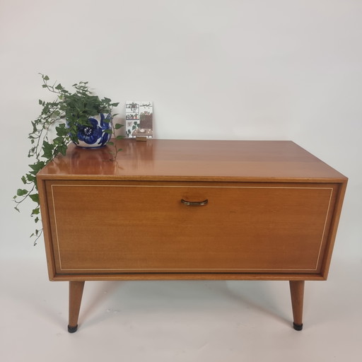 ✨ Vintage Mid - Century storage cabinet ✨