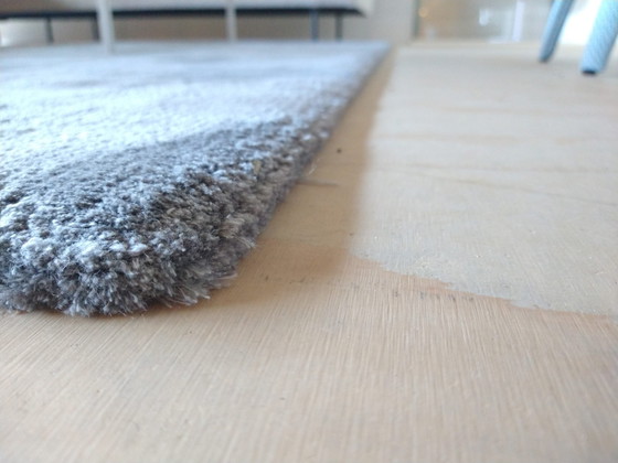 Image 1 of Braun Carpets Soft rug - 240x305