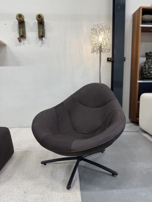 Label van den Berg Hidde Dark Brown