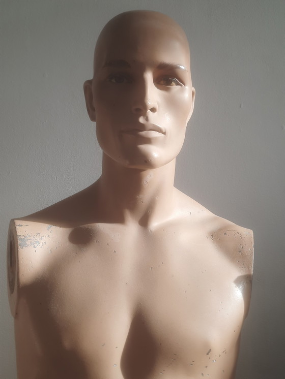 Image 1 of Torso di manichino maschile