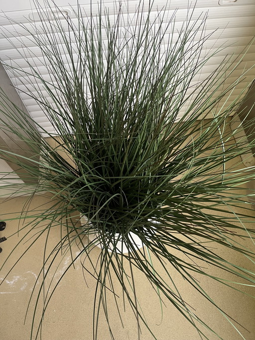 Plante artificielle avec pot blanc