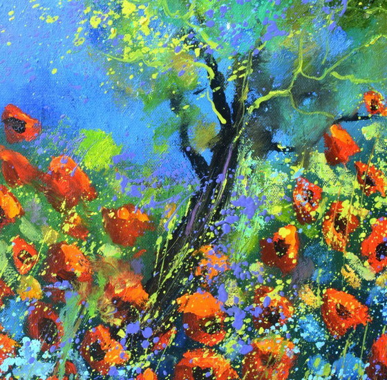 Image 1 of Red Poppies