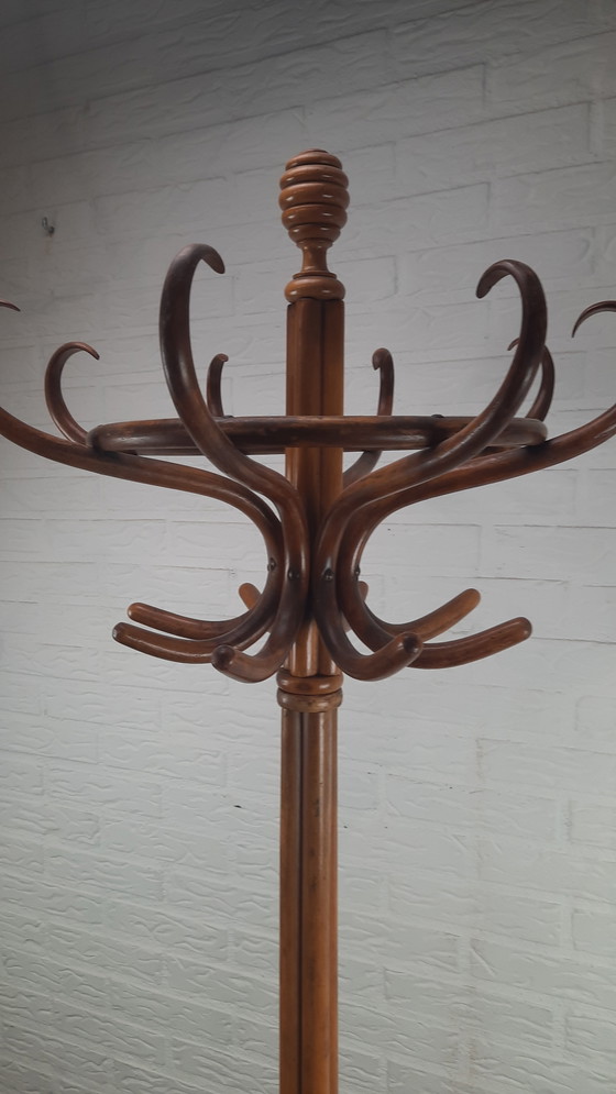 Image 1 of Appendiabiti da terra Thonet