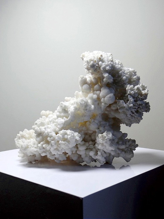 Image 1 of Collezione di minerali, esemplare antico di aragonite bianca dal Messico, +3,2 kg
