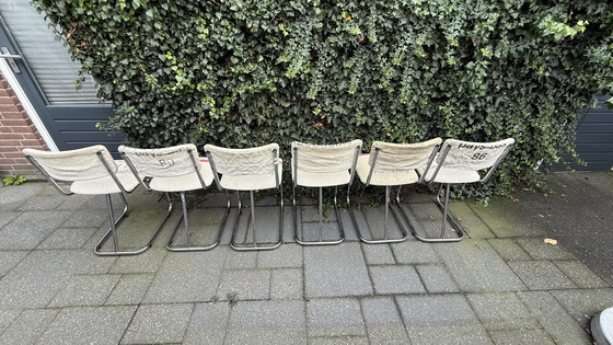 Image 1 of 6 sedie Gispen modello 107