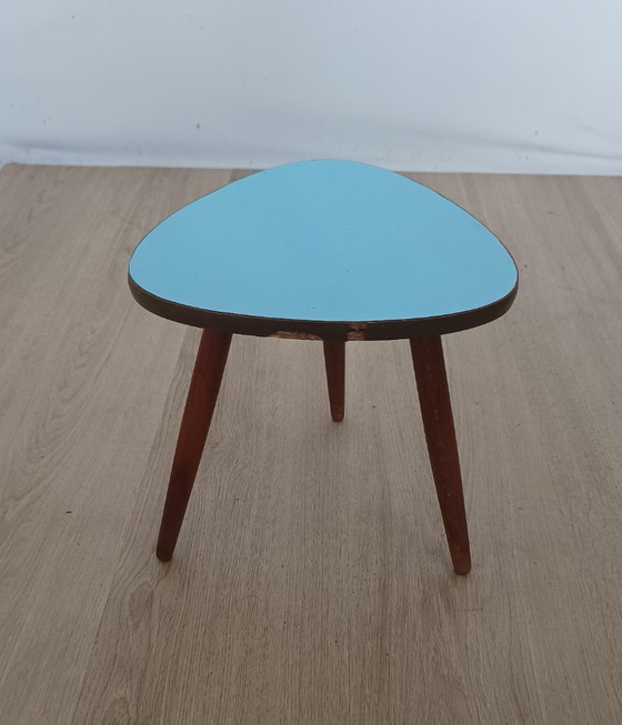 Image 1 of Vijftiger jaren plantentafel