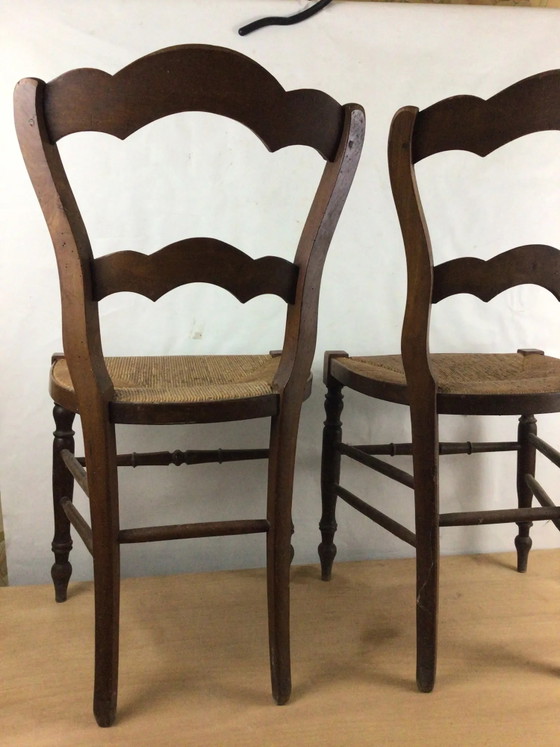 Coppia di sedie pacciamate – Sedie da pranzo, Wood (photo 9 of 11)