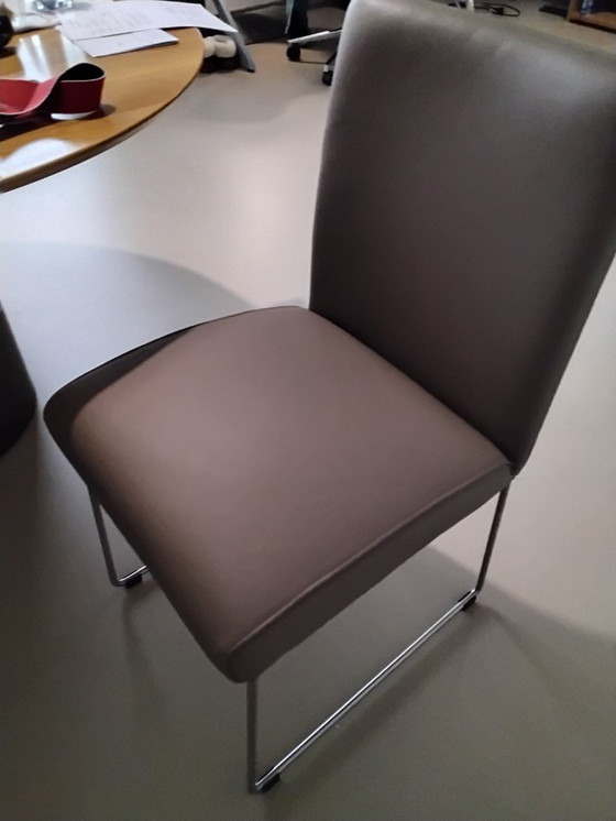 Image 1 of 4 sedie da pranzo Punto. Rivestimento Toledo in pelle e base in acciaio inossidabile.