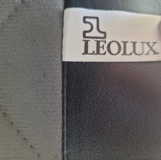 Fauteuils Leolux Cece