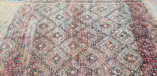 Handgeknoopt Berber kleed wol 267x166cm