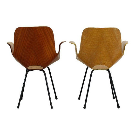 Image 1 of sedia con braccioli in legno curvato di faggio "medea" di vittorio nobili per fratelli tagliabue, italia, 1956