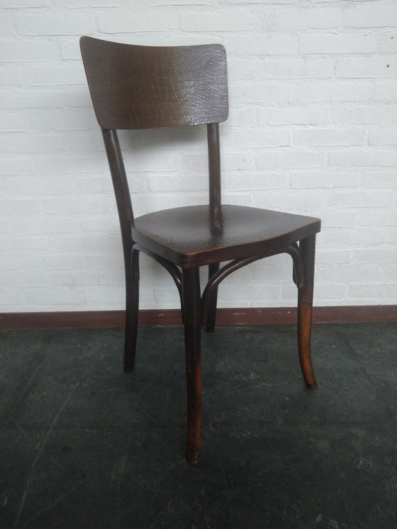 Image 1 of Silla Thonet Mundus con estampado de cocodrilo