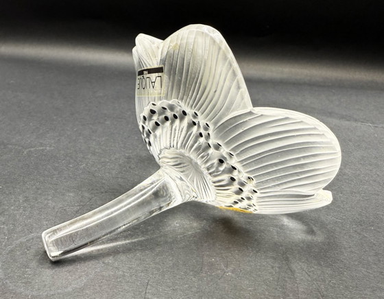 Image 1 of Lalique - Anemoon