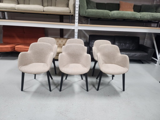 Walter Knoll - Sheru Esszimmerstühle 6x